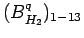 $ (B^q_{H_2})_{1-13}$